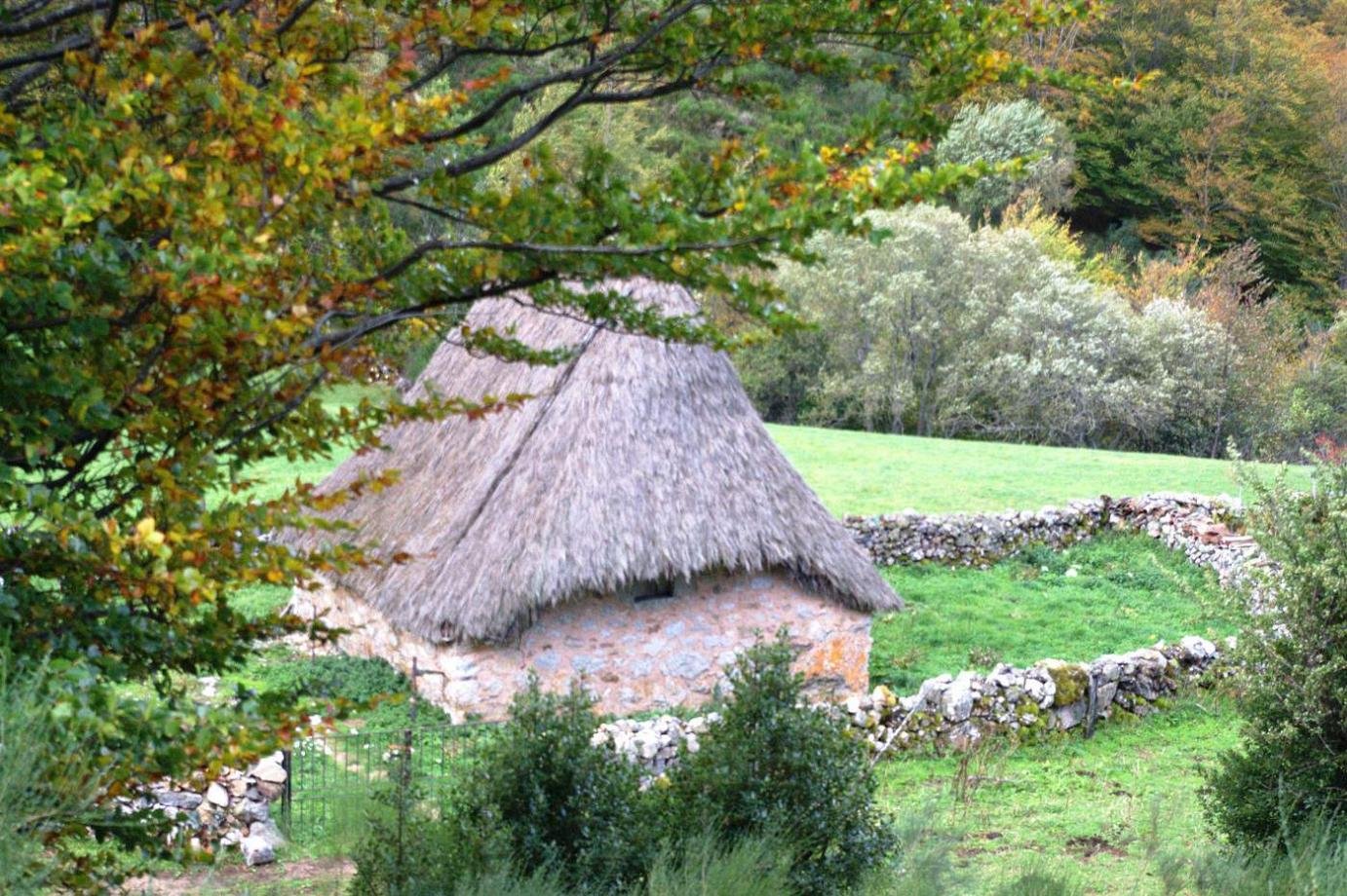 Cabaña de teito